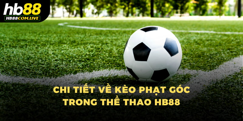 Chi tiết về kèo phạt góc trong thể thao HB88