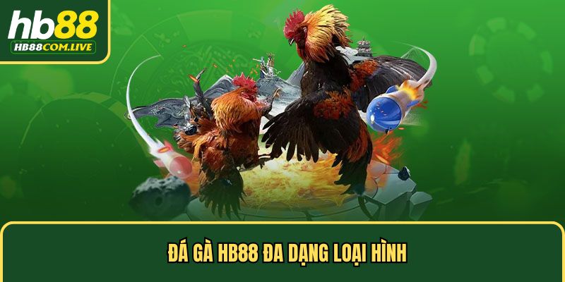 Đá gà HB88 đa dạng loại hình