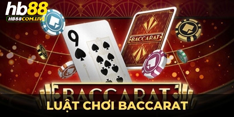 Các lựa chọn cược được quy định trong game bài Baccarat